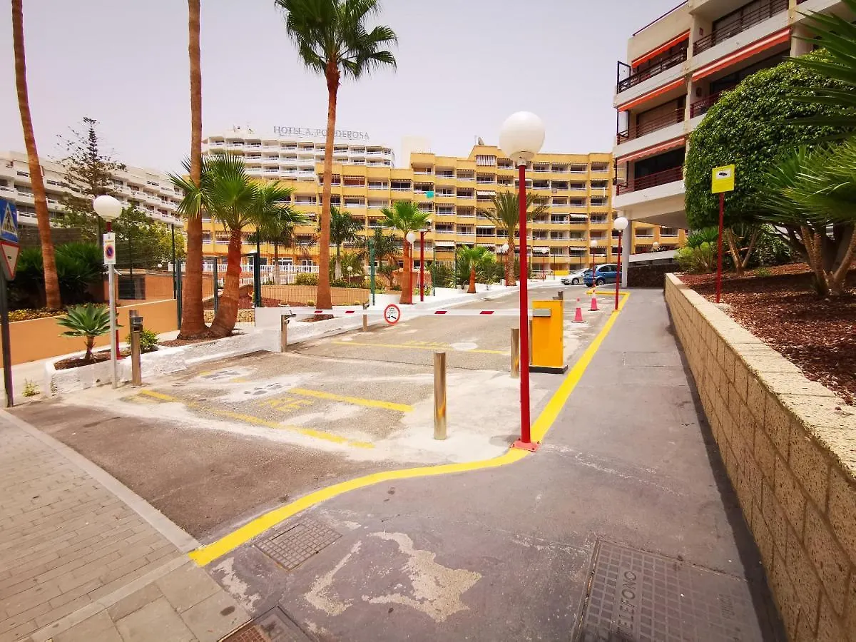 Apartmán Olympia - Apartament Las Americas Playa de las Americas   Playa de las Americas (Tenerife)
